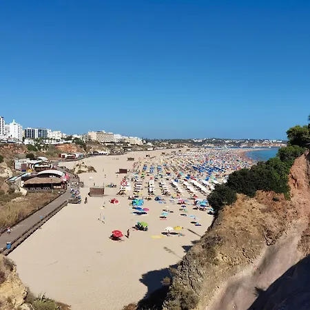 Rocha Tropical Apartament